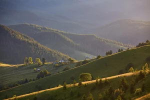 EPR Austria krok po kroku: jak wdrożyć odpowiedzialność producenta, terminy, obowiązki raportowe i koszty dla firm w systemie rozszerzonej gospodarki odpadami.