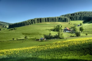 Restauracje z widokiem na morze: ranking najlepszych miejsc nad Bałtykiem, gdzie zjesz świeże ryby i zarezerwujesz stolik z panoramą—od Gdańska po Hel.